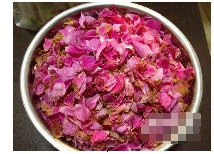 娱乐吃瓜酱玫瑰,玫瑰背后的故事揭秘